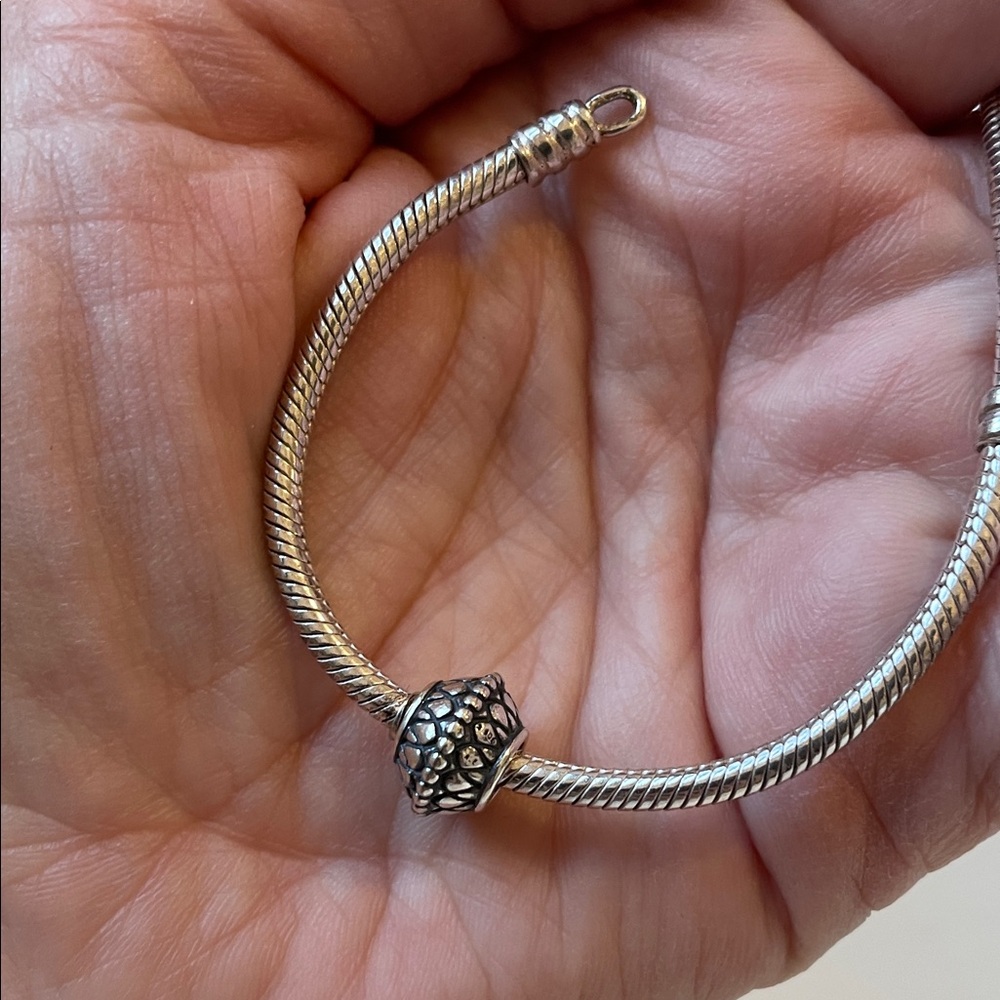 Pandora Silver Bracelet with Charms - Picture 5 of 5